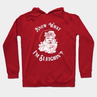 Know What I'm Sleighin'? Hoodie